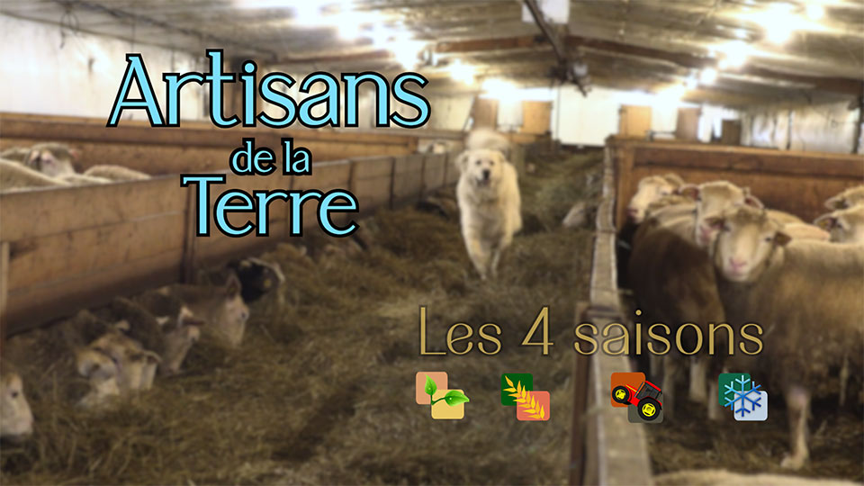 Télé du Haut-du-Lac - Artisans de la terre